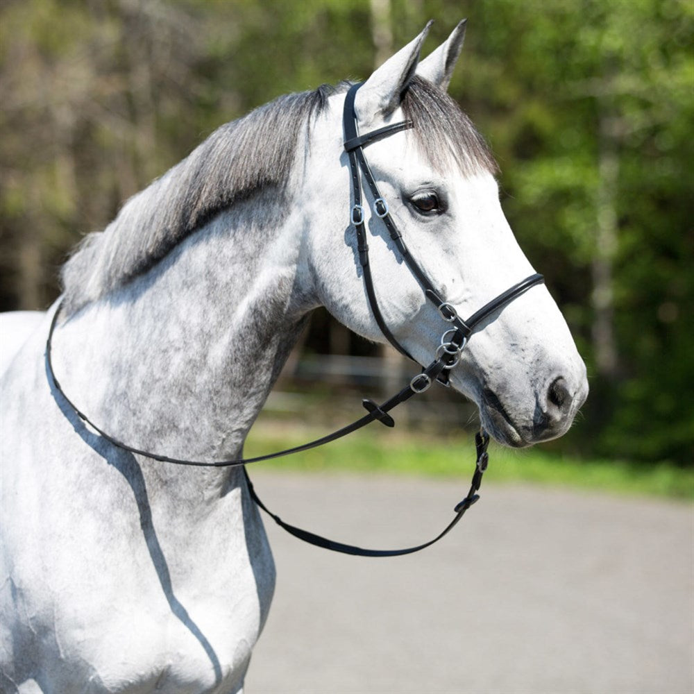 Bitless Bridle || Cob Size ONLY