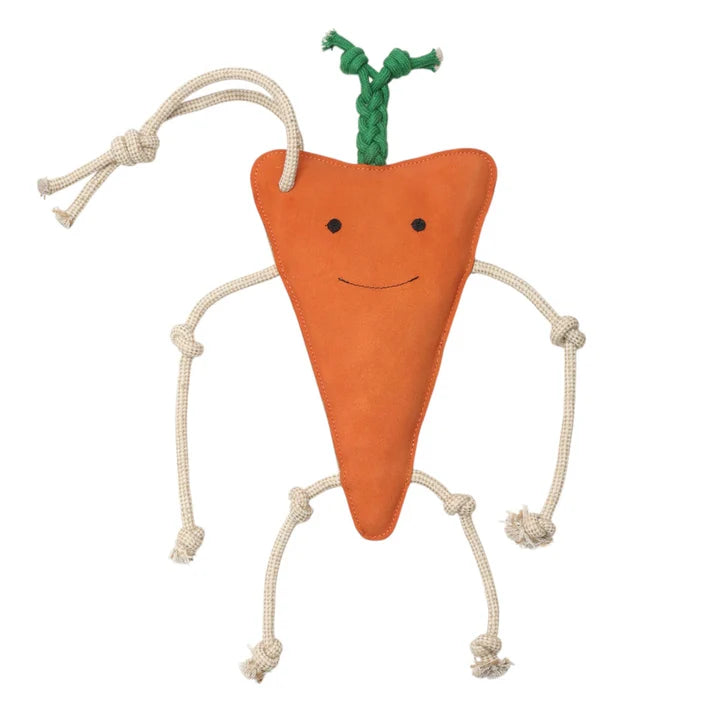 Carrot Horse Toy