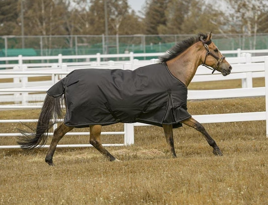 Fleece Lined Turnout Sheet || Navy Size 84 ONLY