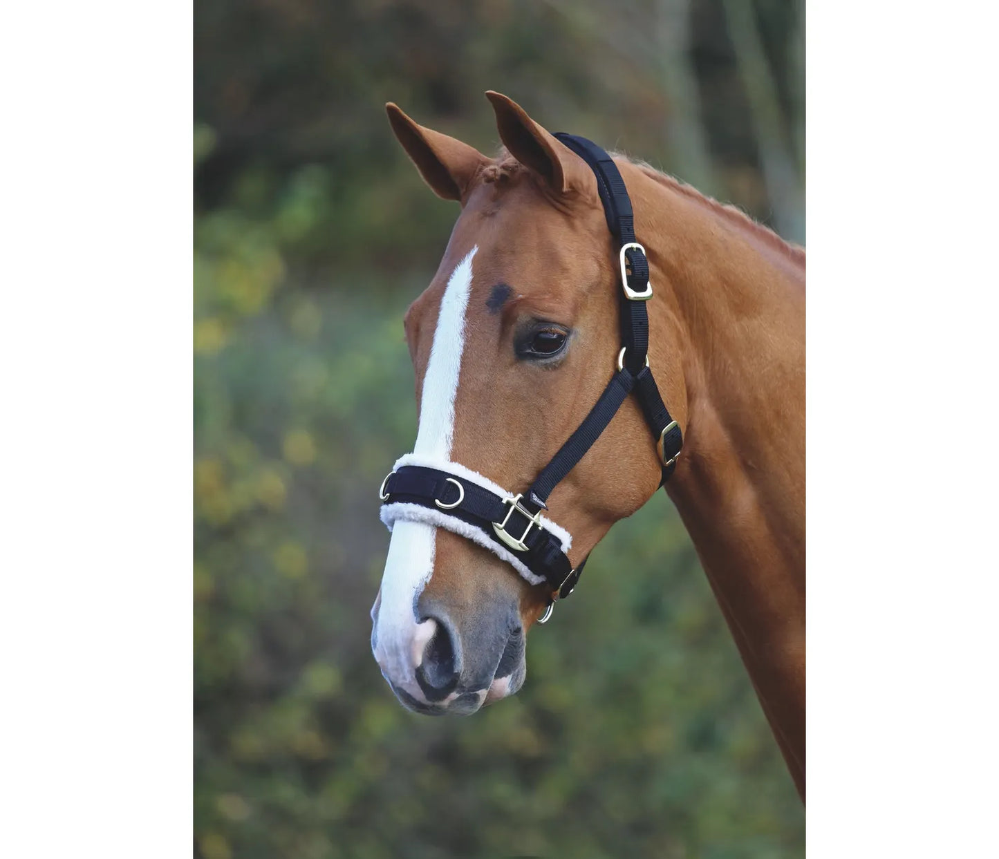 Fleece Lined Lunge Cavesson || Horse Size ONLY