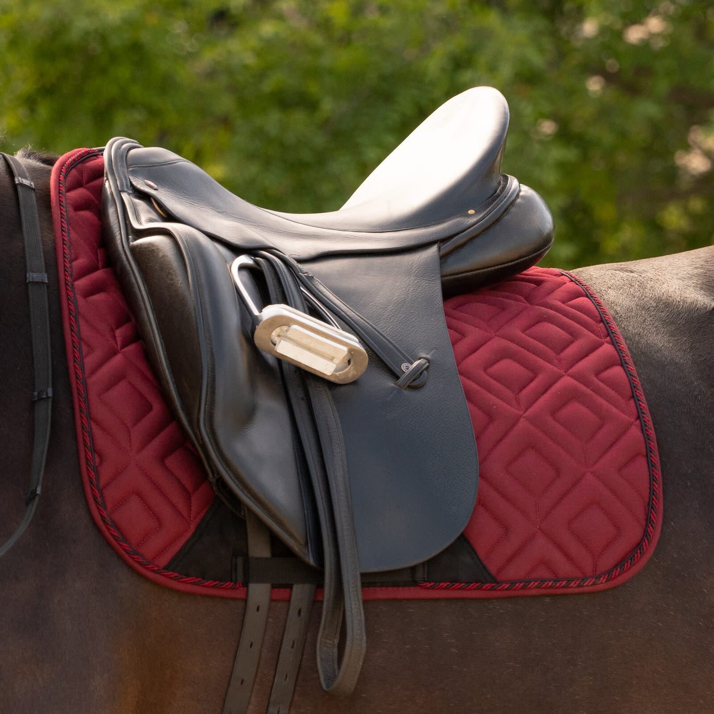 Stockholm Dressage Pad