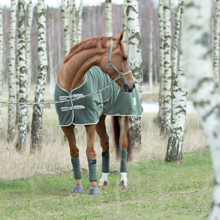 Laura's Loft || Brighton Fleece Stable Sheet || Size 72 & 84 ONLY