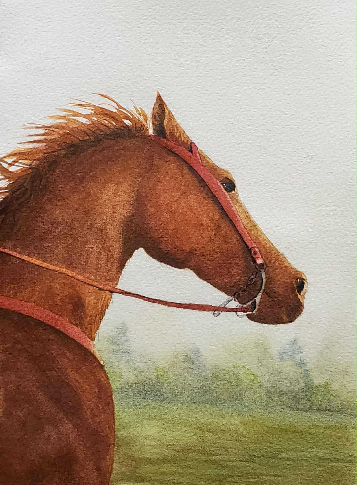 Western Horse || Original Watercolor by Diane Wood