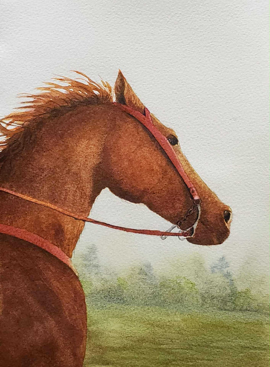 Western Horse || Original Watercolor by Diane Wood