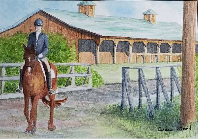 Off We Go || Greeting Cards by Diane Wood