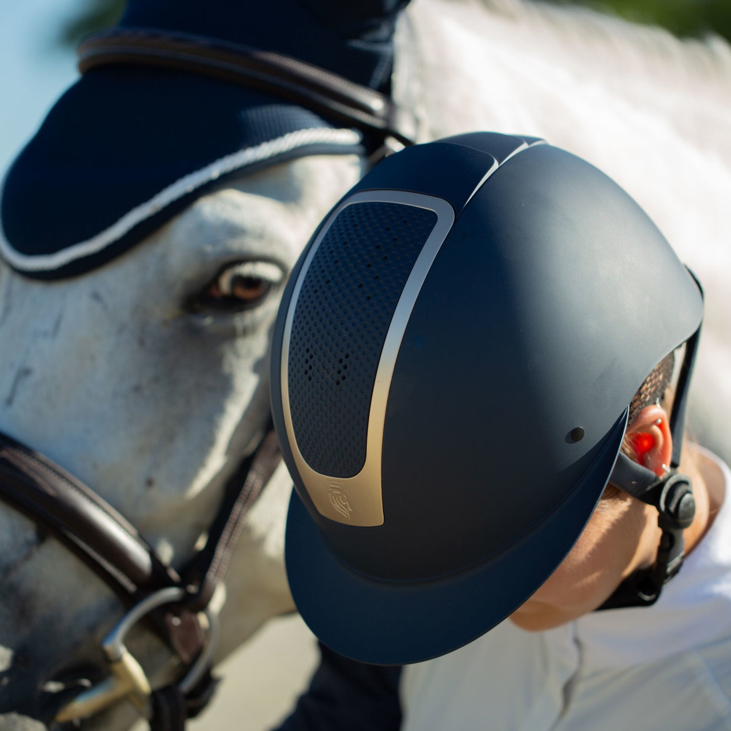 Crown MIPS Riding Helmet
