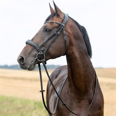 Laura's Loft || Lincoln Headstall