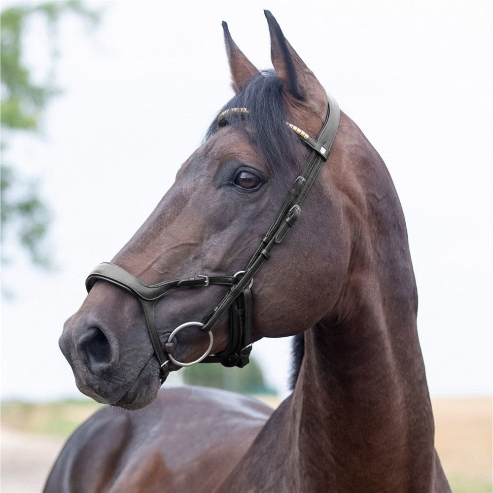 Horze Stewert Bridle || DISCONTINUED