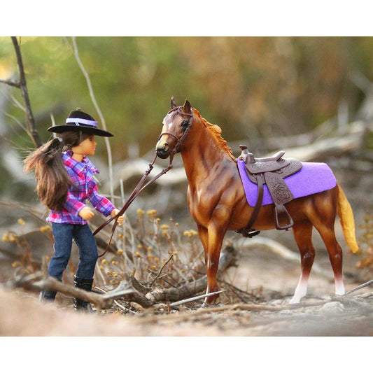 Western Horse & Rider