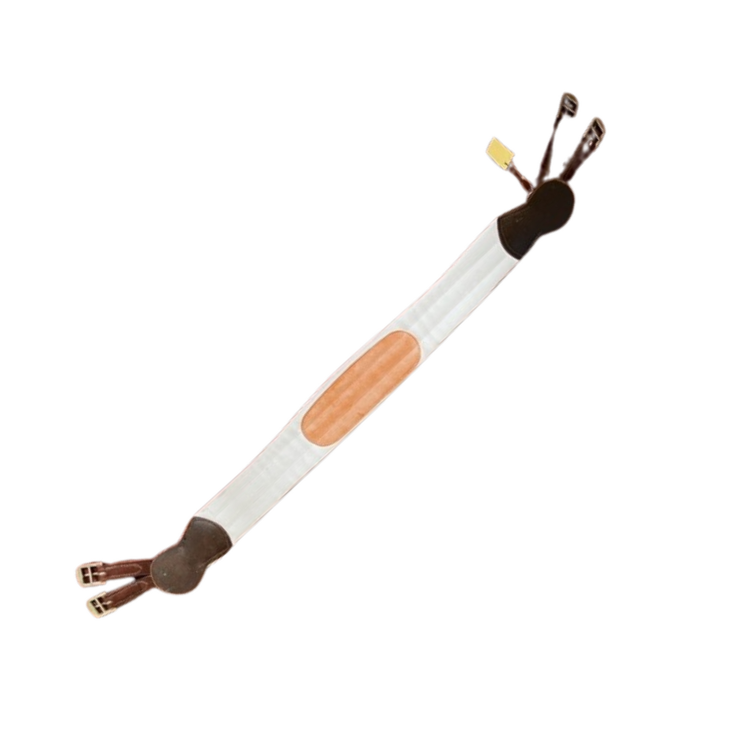 PVC Show Girth || LIMITED SIZES