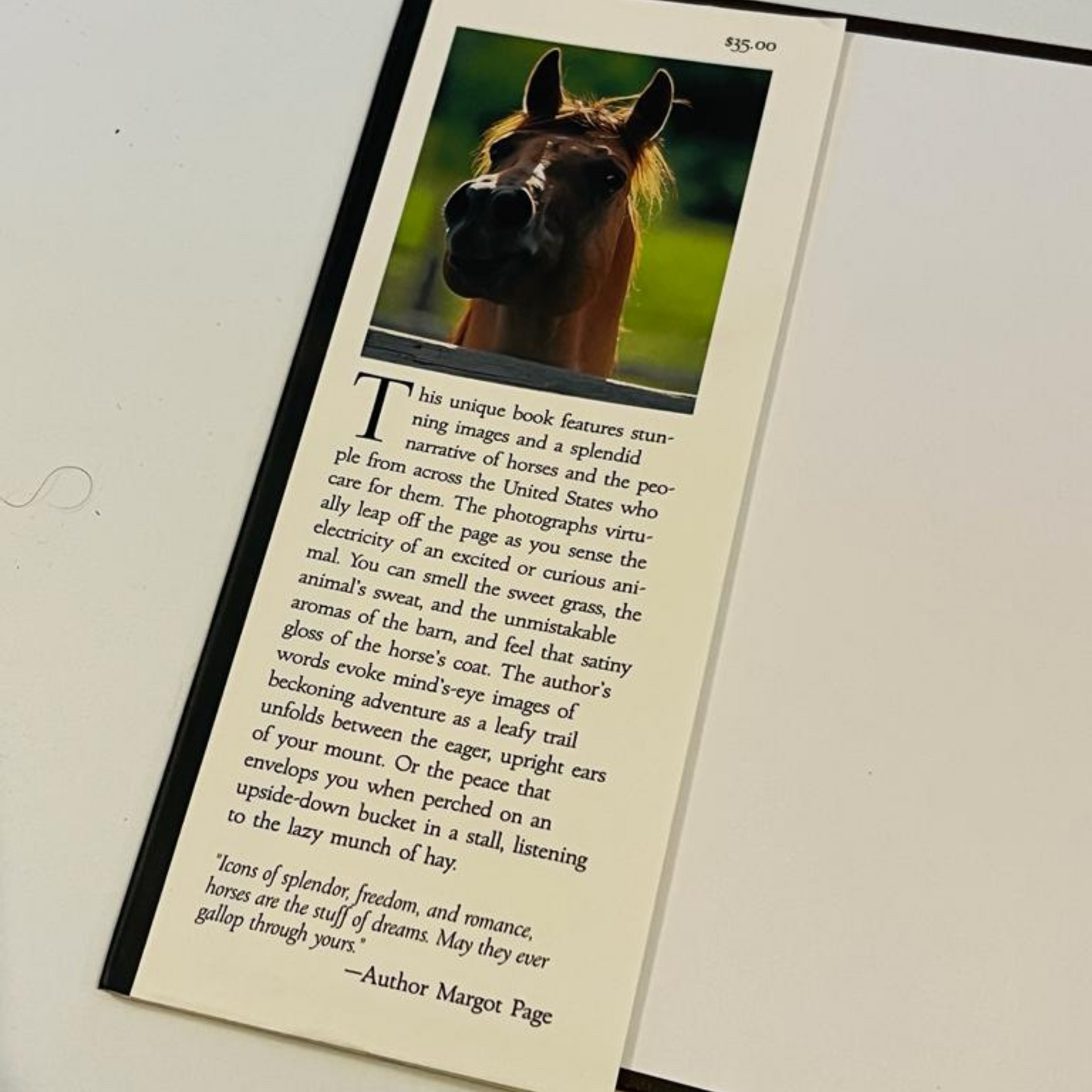 Just Horses || Living With Horses In American By Margot Page