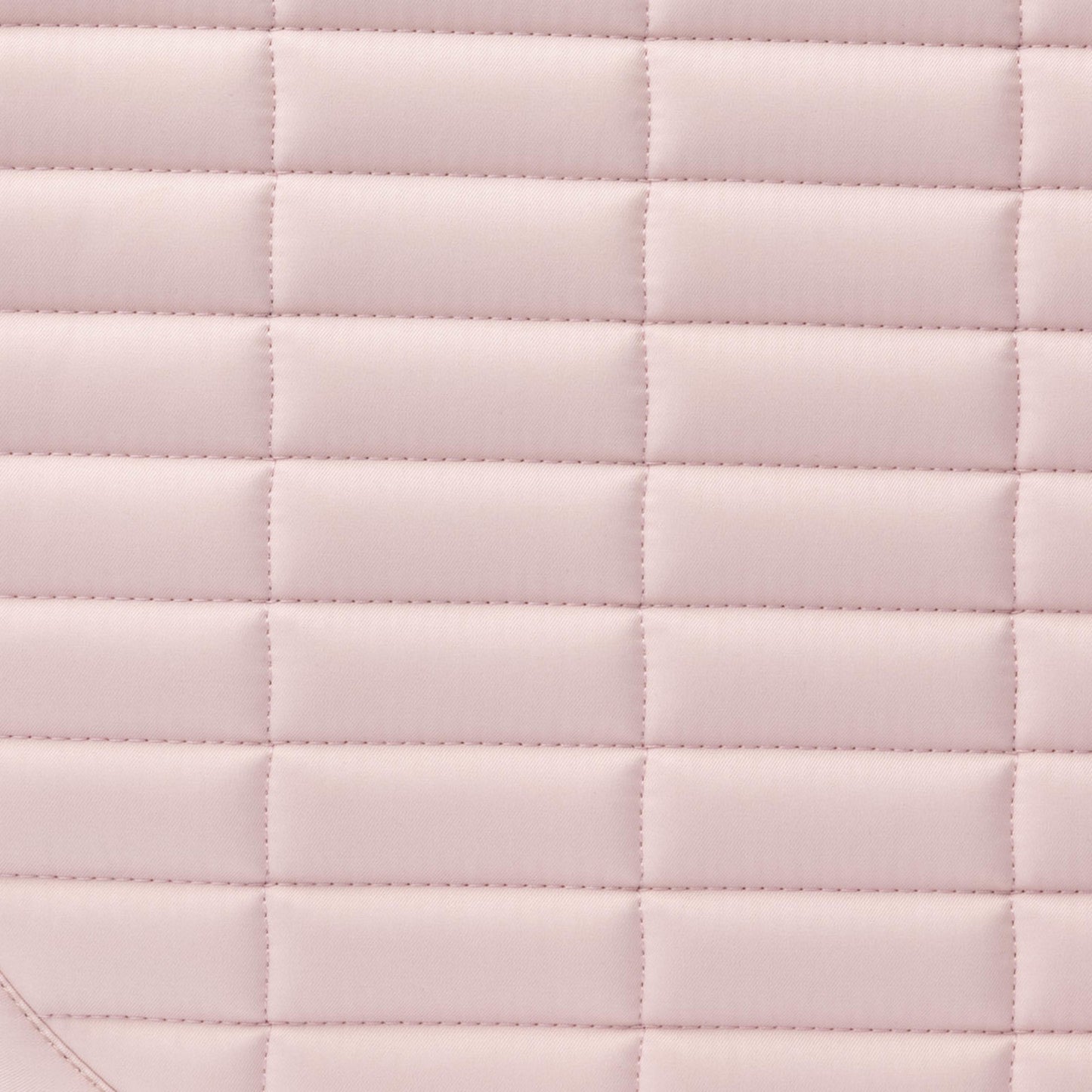 B//Vertigo Daylight Dressage Pad || DISCONTINUED