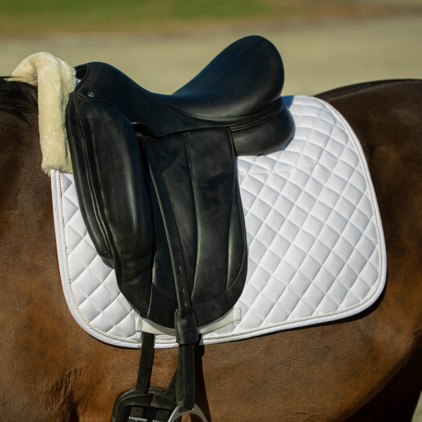 Oslo Dressage Pad