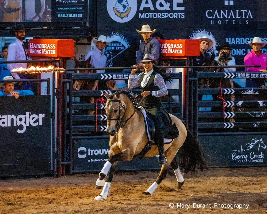 Cossaco || Lusitano Working Equitation Champion