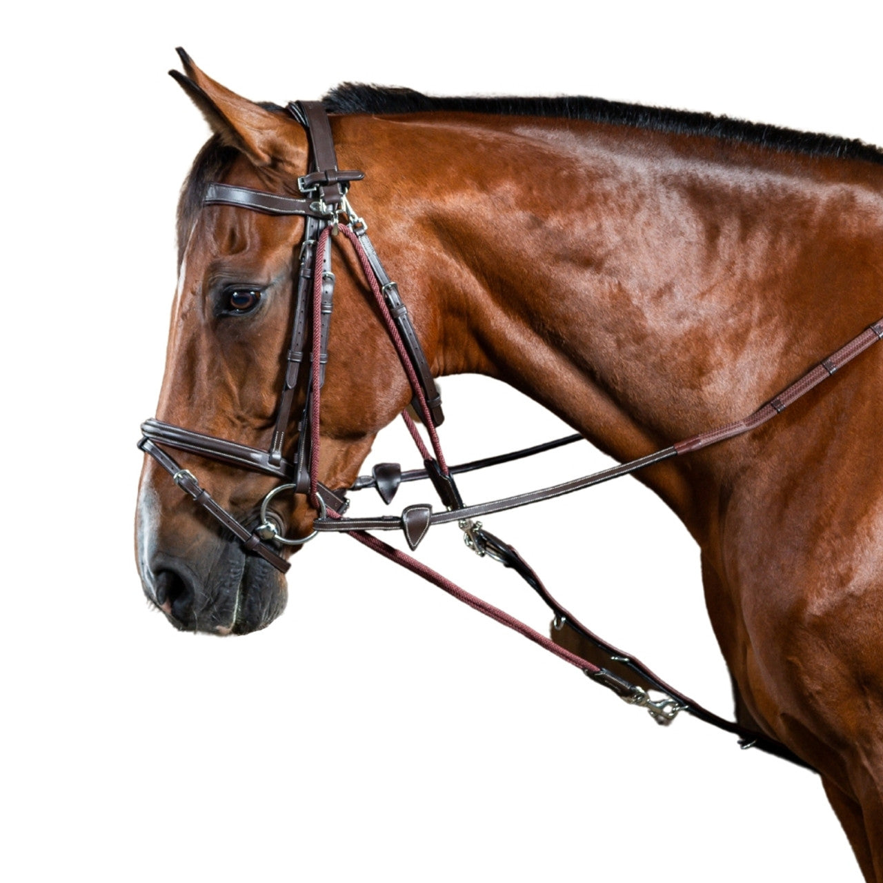Kincade Gogue Horse Training Aid - Brown Leather Head Lowering Training Tool For Lunging And Riding