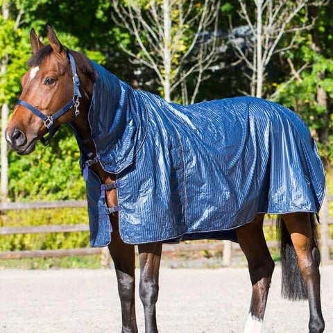 Huron Rain Sheet || CLOSE OUT