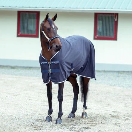 Wilson Multifunctional Thermo Rug || CLOSE OUT