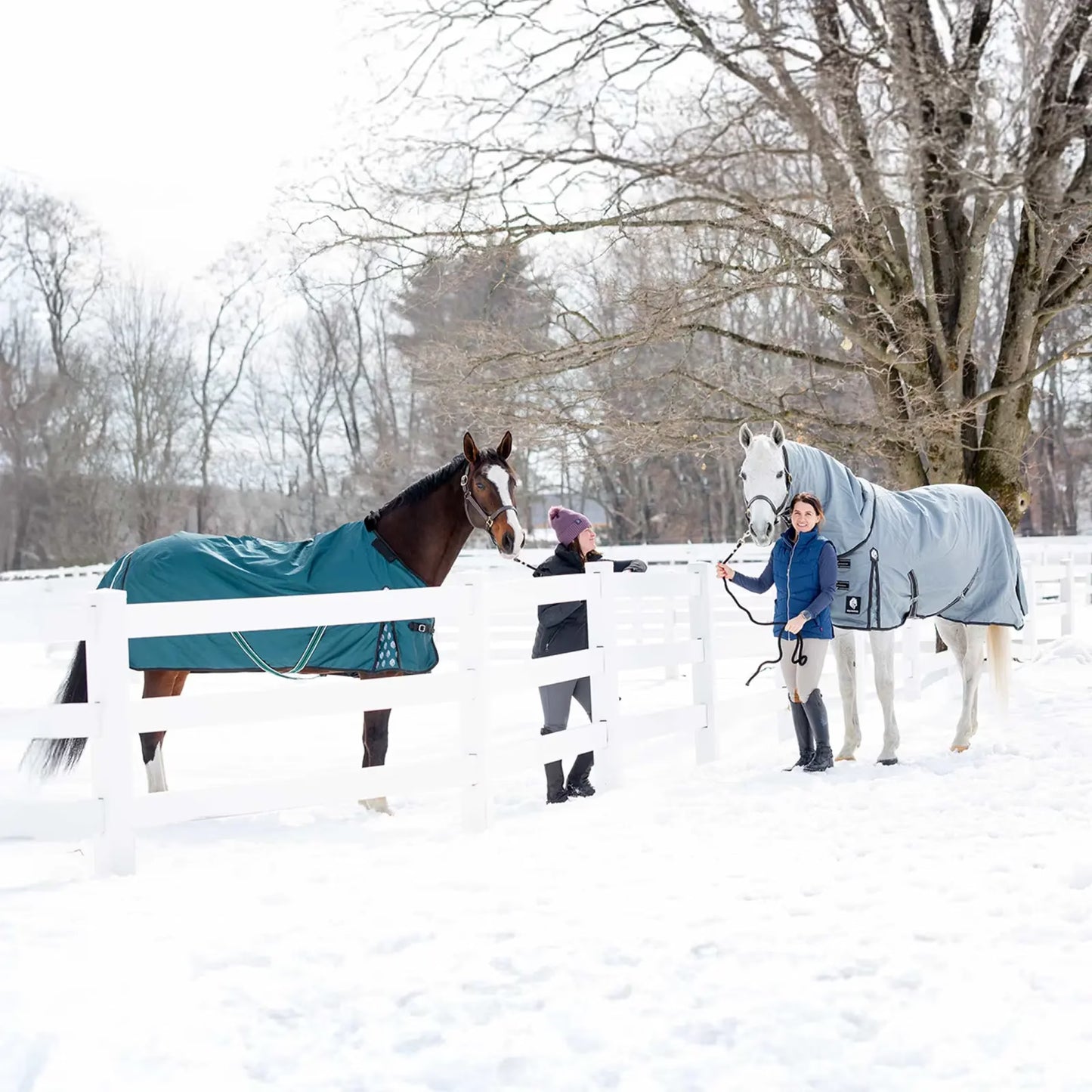 Arktis Regular Neck Heavy Weight Turnout Blanket- 300G