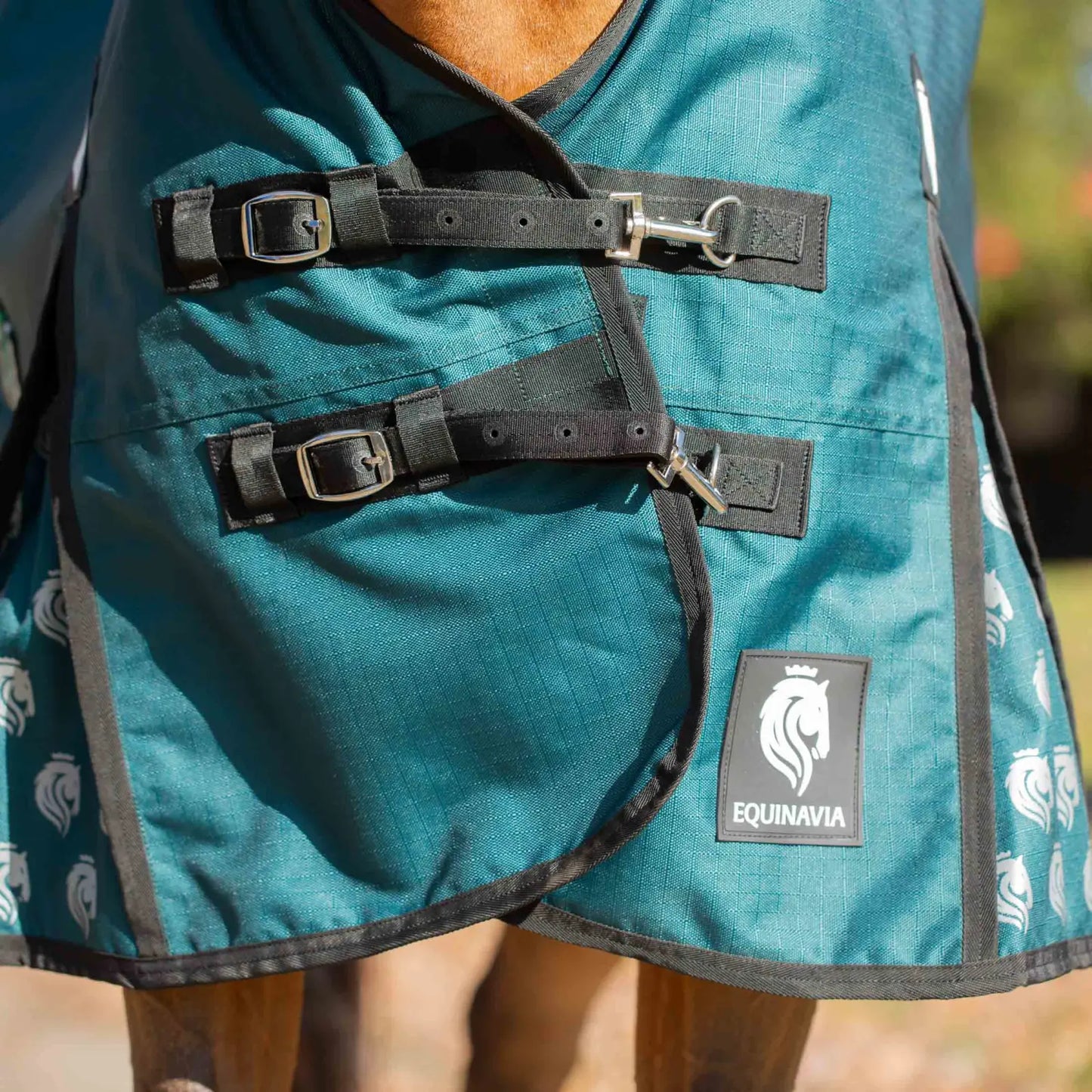 Arktis Extended Neck Heavy Weight Turnout Blanket- 300G