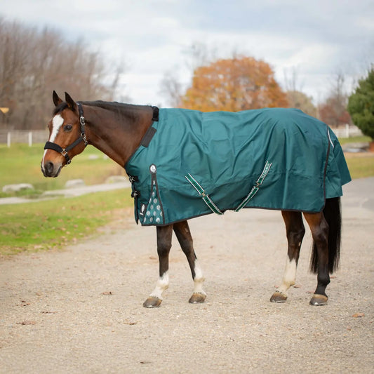 Arktis Regular Neck Heavy Weight Turnout Blanket- 300G