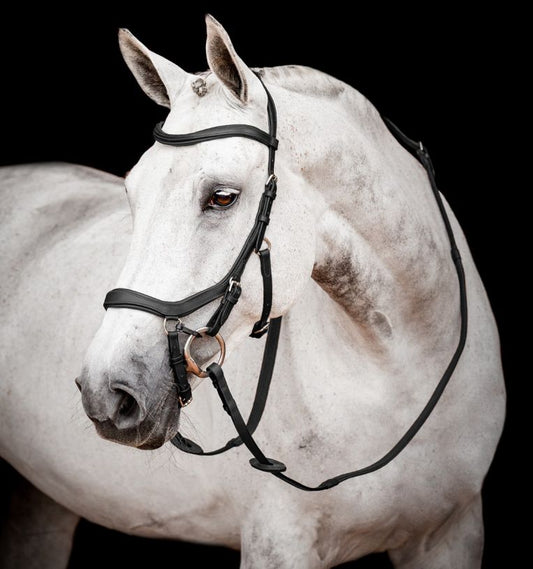 Micklem® || Competition Bridle