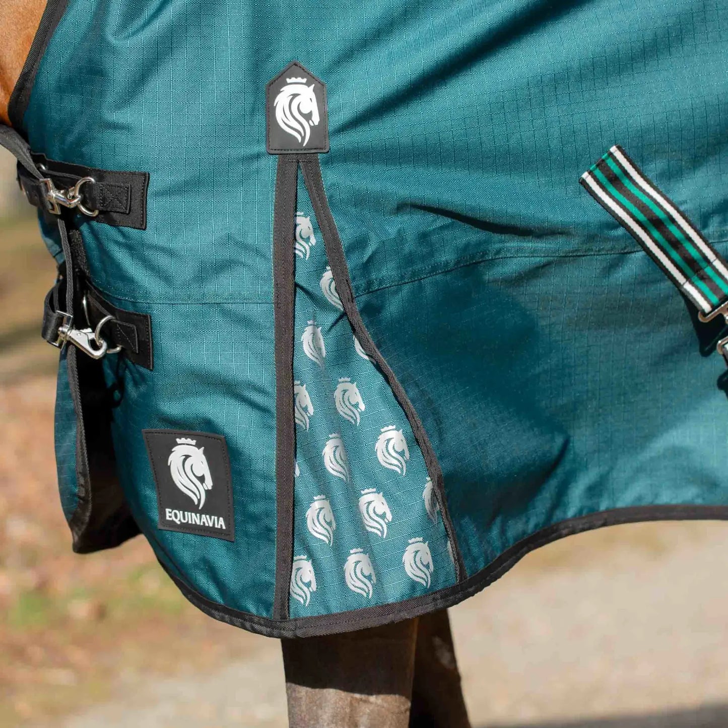 Arktis Extended Neck Heavy Weight Turnout Blanket- 300G