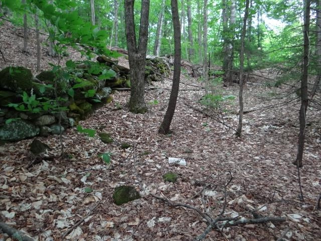 South Woodstock, VT 38+ Acres: New to the market for the first time in almost 100 years