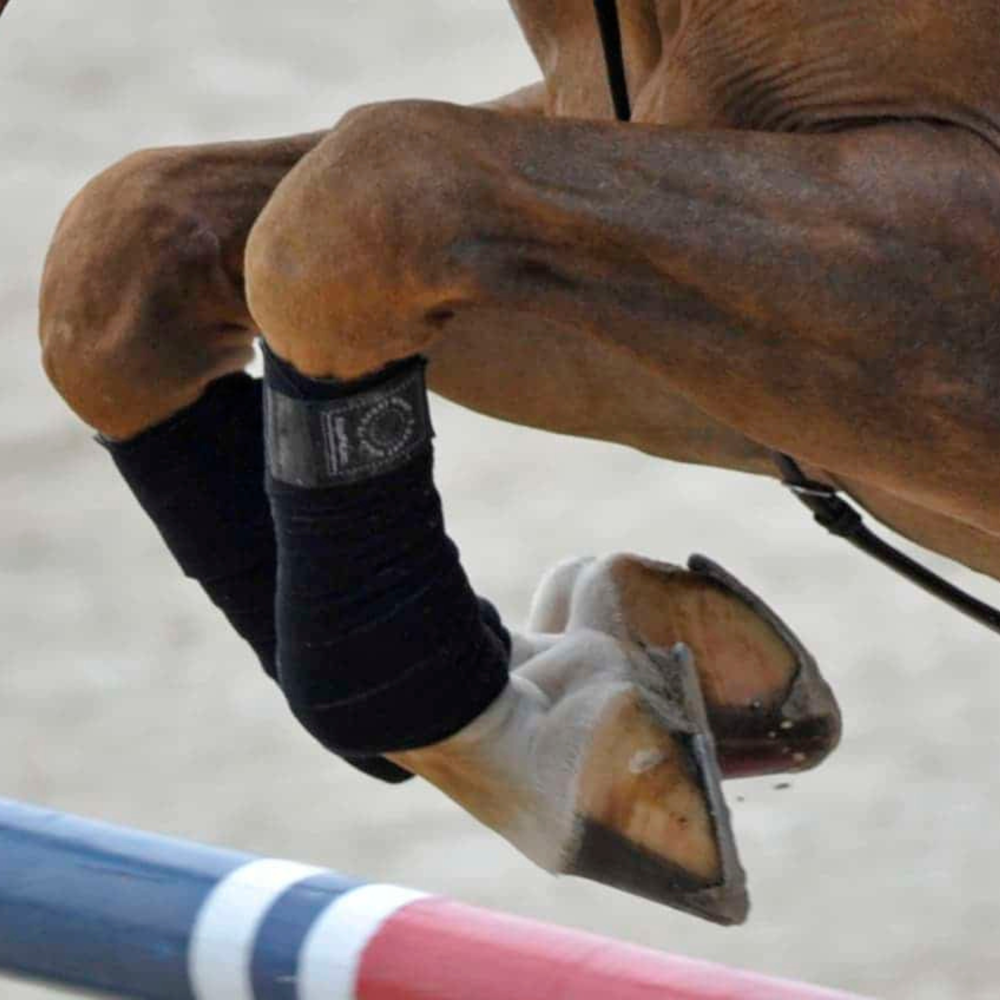 - JOINT & MUSCLE HEALTH – The Vermont Horse Country Store