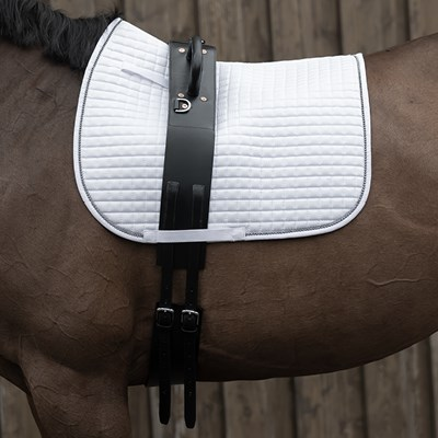SURCINGLES & LUNGE CAVESSONS – The Vermont Horse Country Store