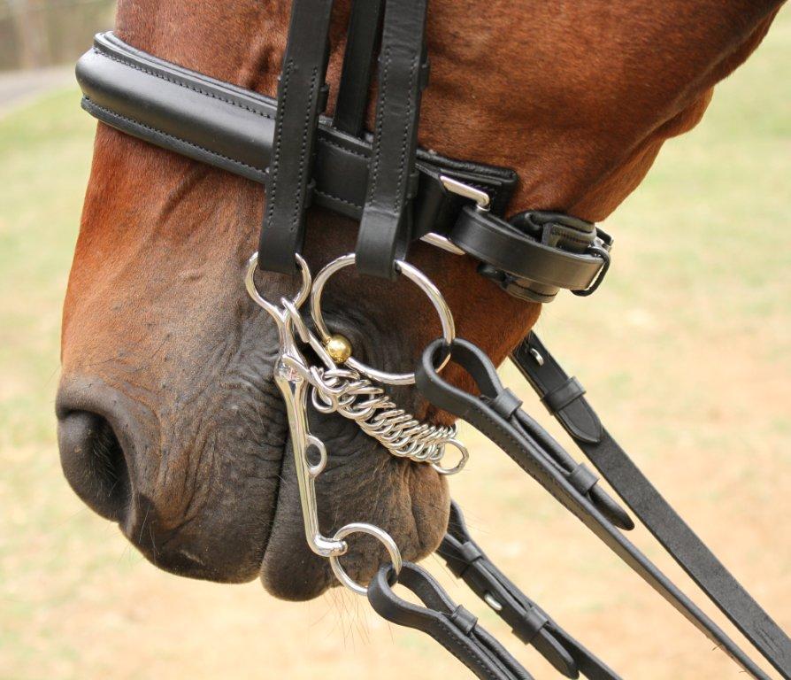 DRESSAGE CURBS & BRADOONS – The Vermont Horse Country Store
