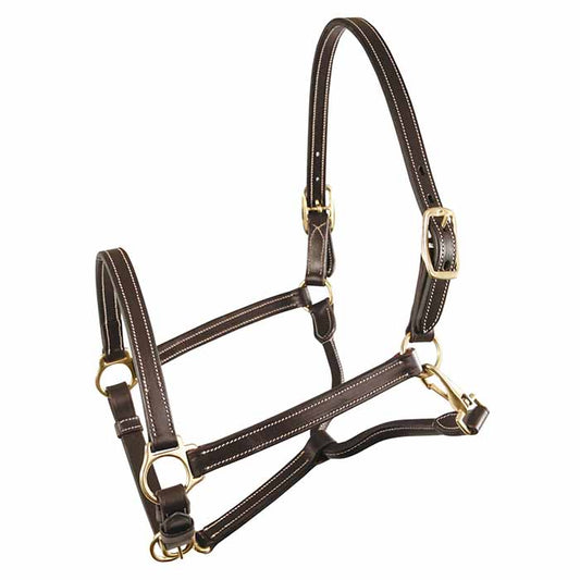 Matthew 3/4" Leather Halter || Available in Pony Sizes
