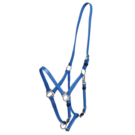 Deluxe Endurance Bridle - Halter ONLY