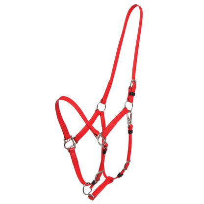 Deluxe Endurance Bridle - Halter Only
