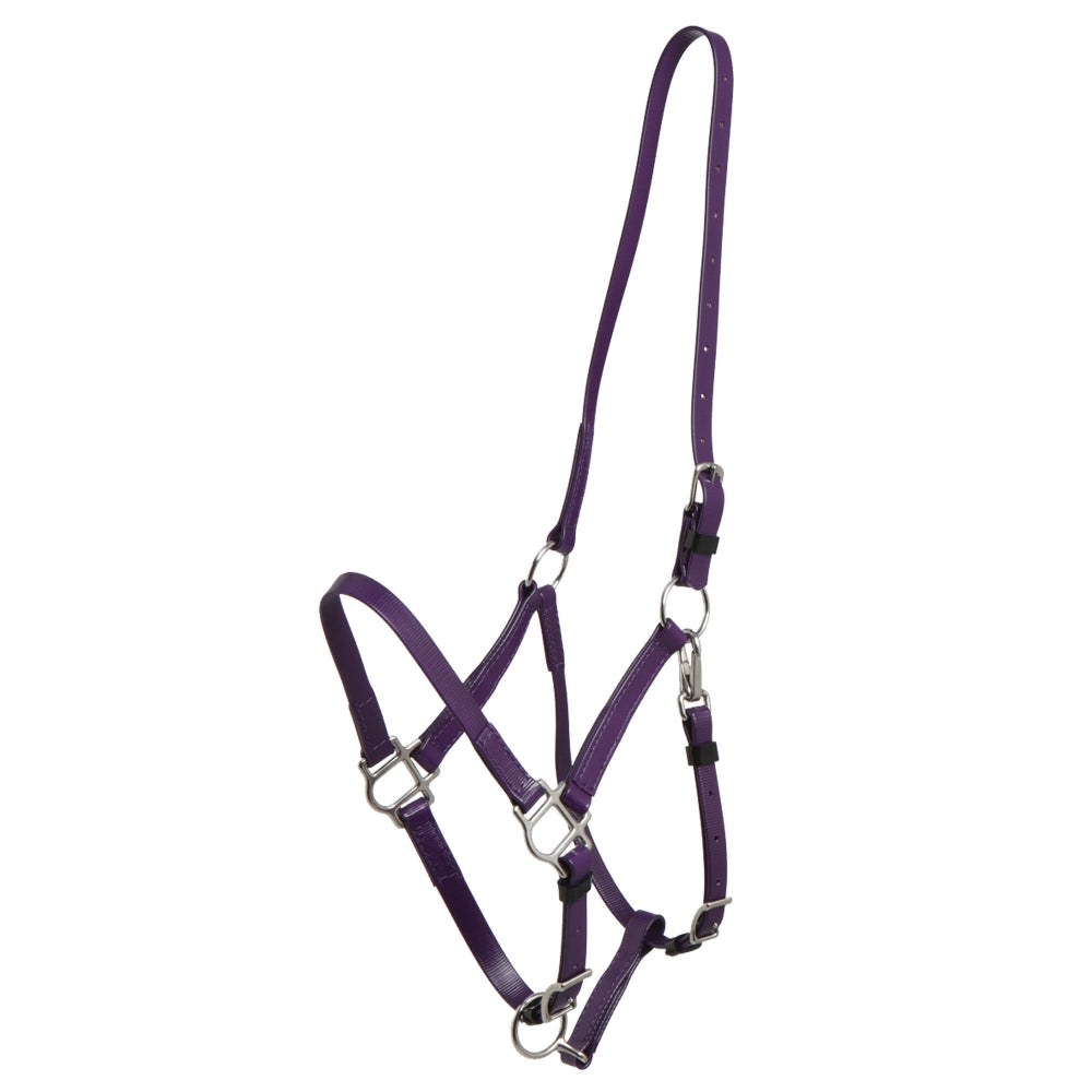 Deluxe Endurance Bridle - Halter Only