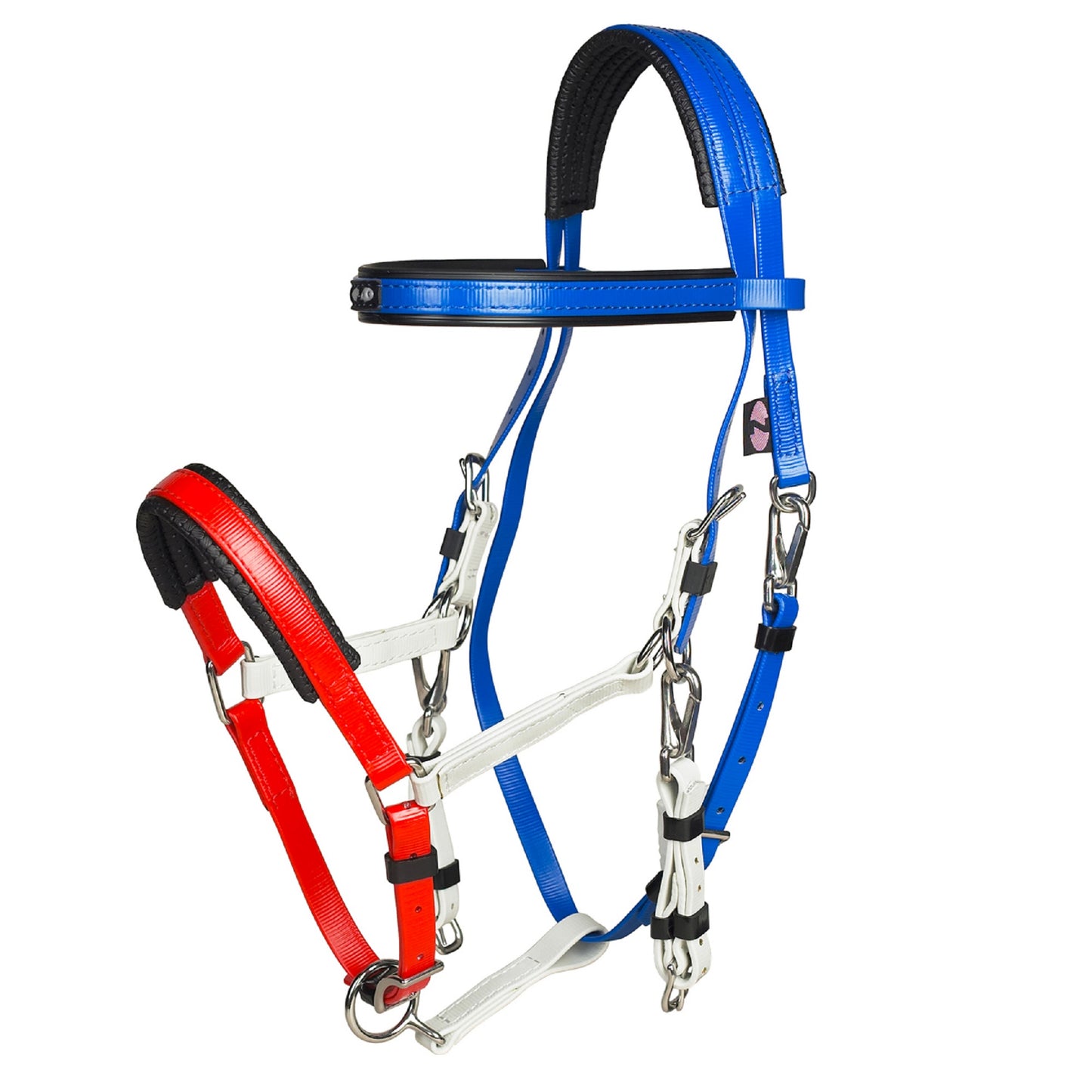 Padded Marathon Endurance Bridle