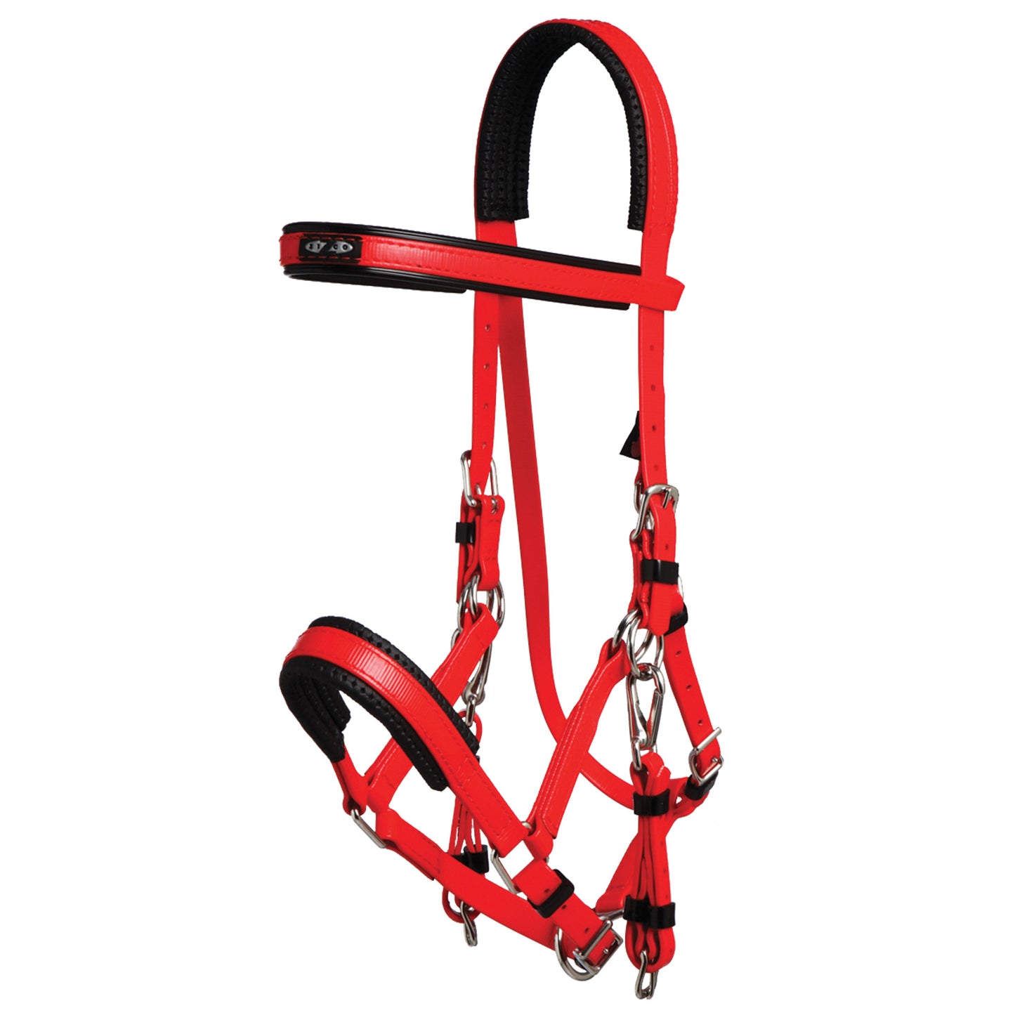 Padded Marathon Endurance Bridle