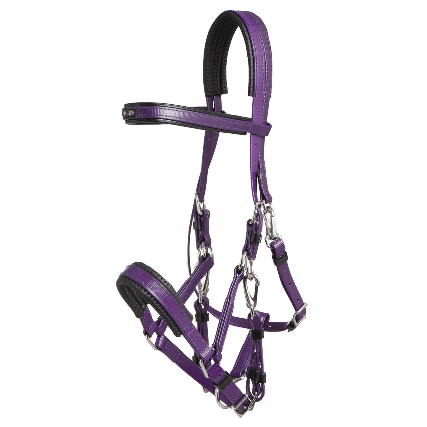 Padded Marathon Endurance Bridle