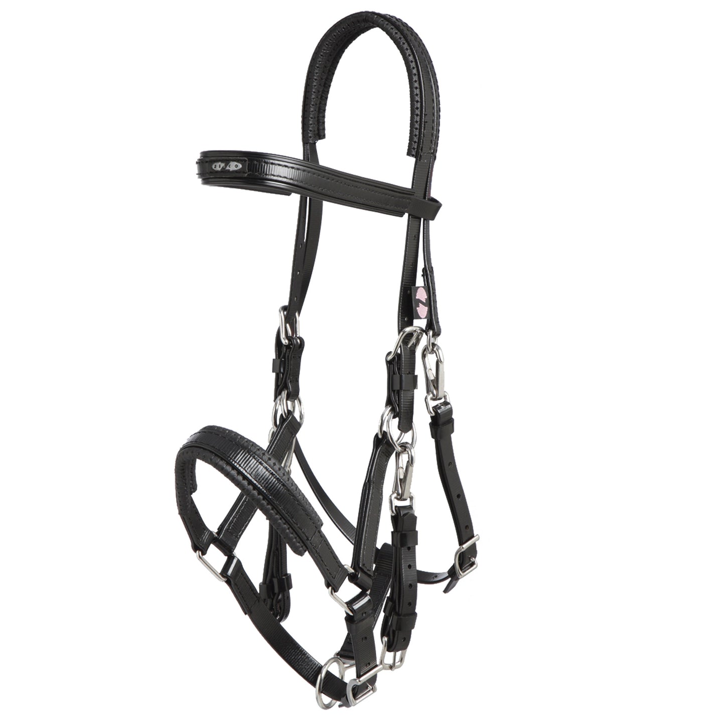 Padded Marathon Endurance Bridle