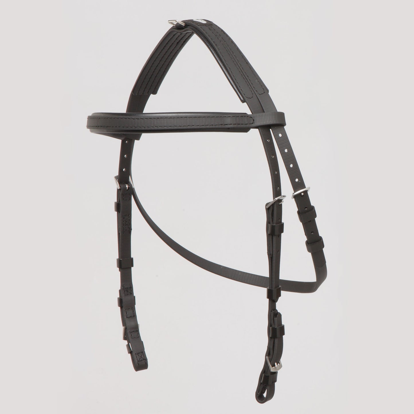 Hackamore Bridle