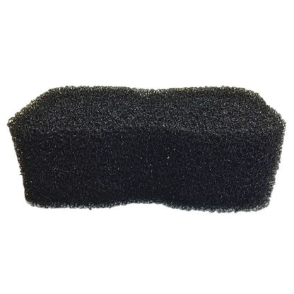 Tiger's Tongue Sponge