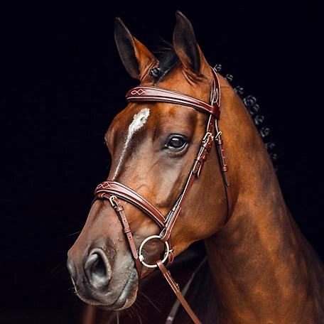 Sion Fancy Stitched Bridle With Flash || Cob Size Only