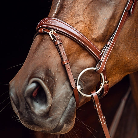 Sion Fancy Stitched Bridle With Flash || Cob Size Only