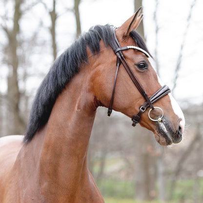 Florina Rolled Brown Patent Bridle