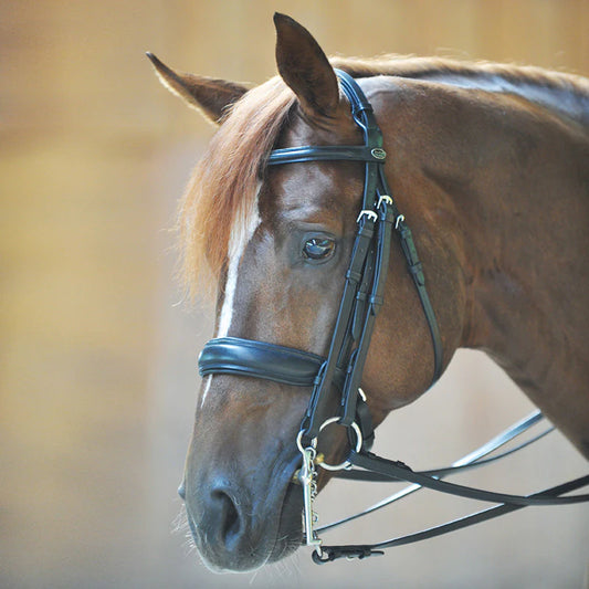 Kavalcade || Dacira Double Bridle || Cob Size ONLY