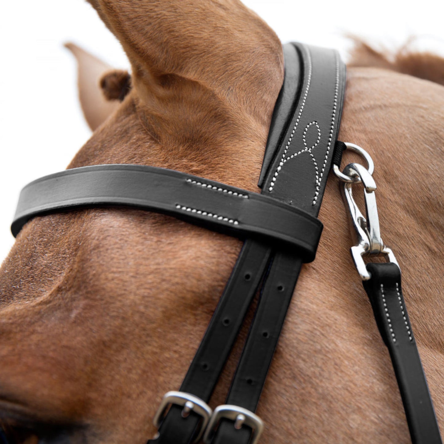 Sparta Hunter Bridle