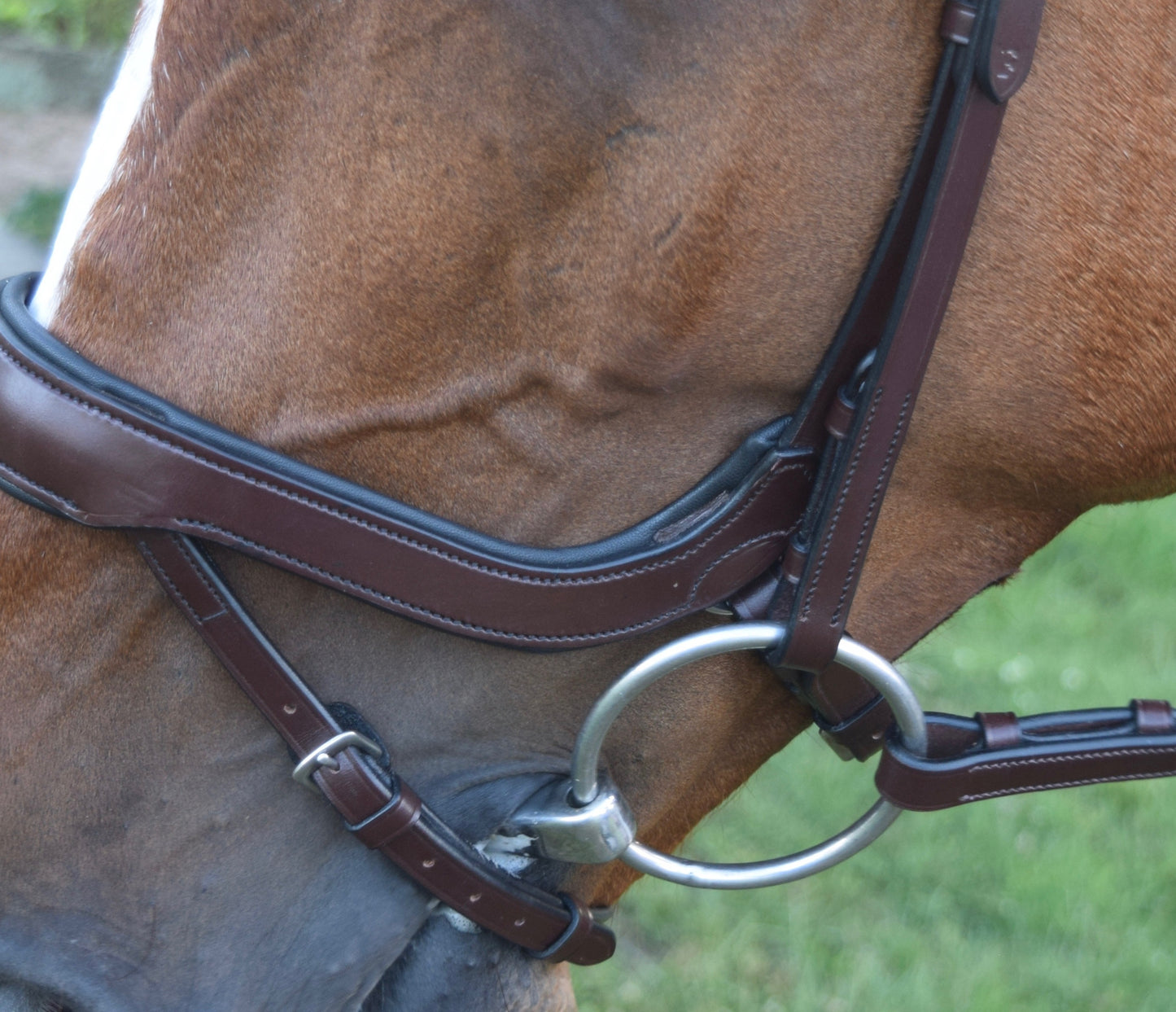 Red Barn || Arena Ergonomic Bridle || Black Horse Size ONLY