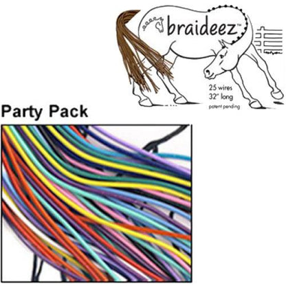 Rainbow Braideez