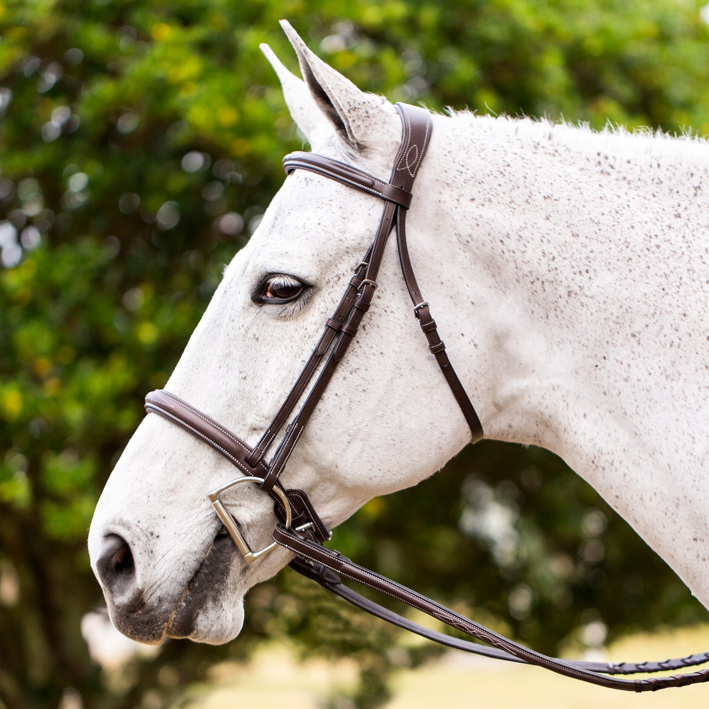 Equinavia || Valkyrie Fancy Stitched Bridle || Cob Sized Only