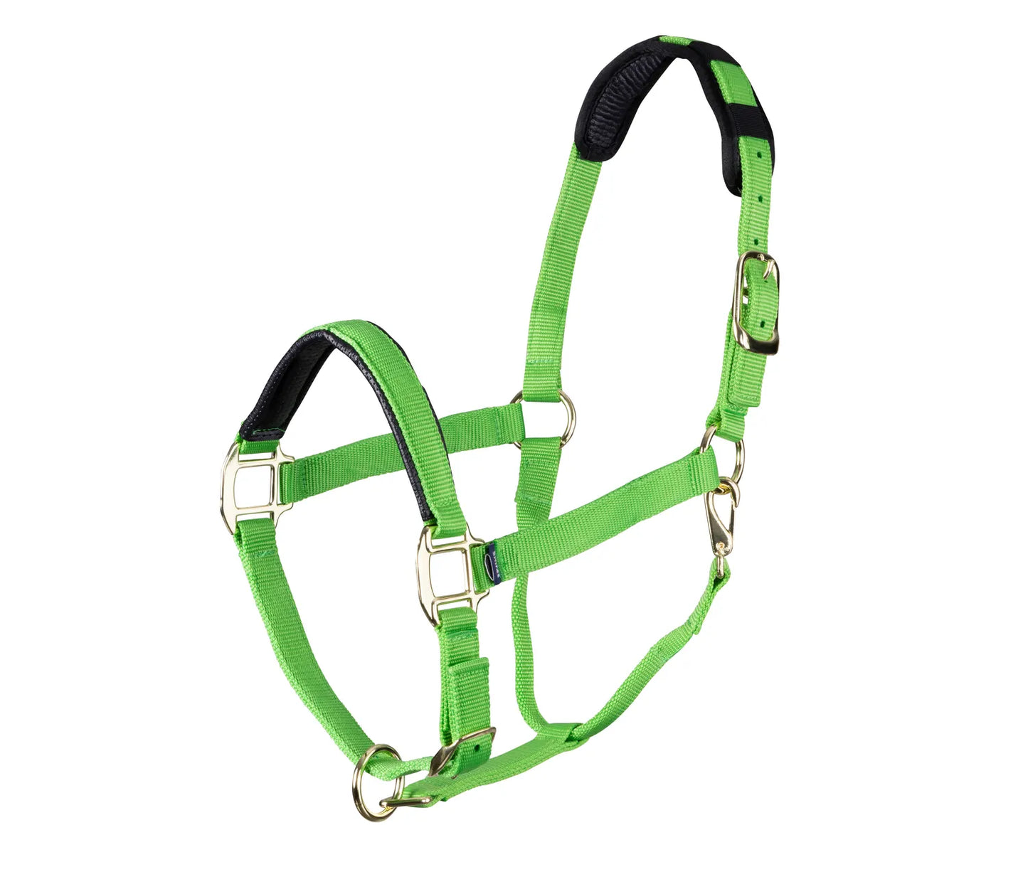 Topaz Leather Breakaway Padded Nylon Halter