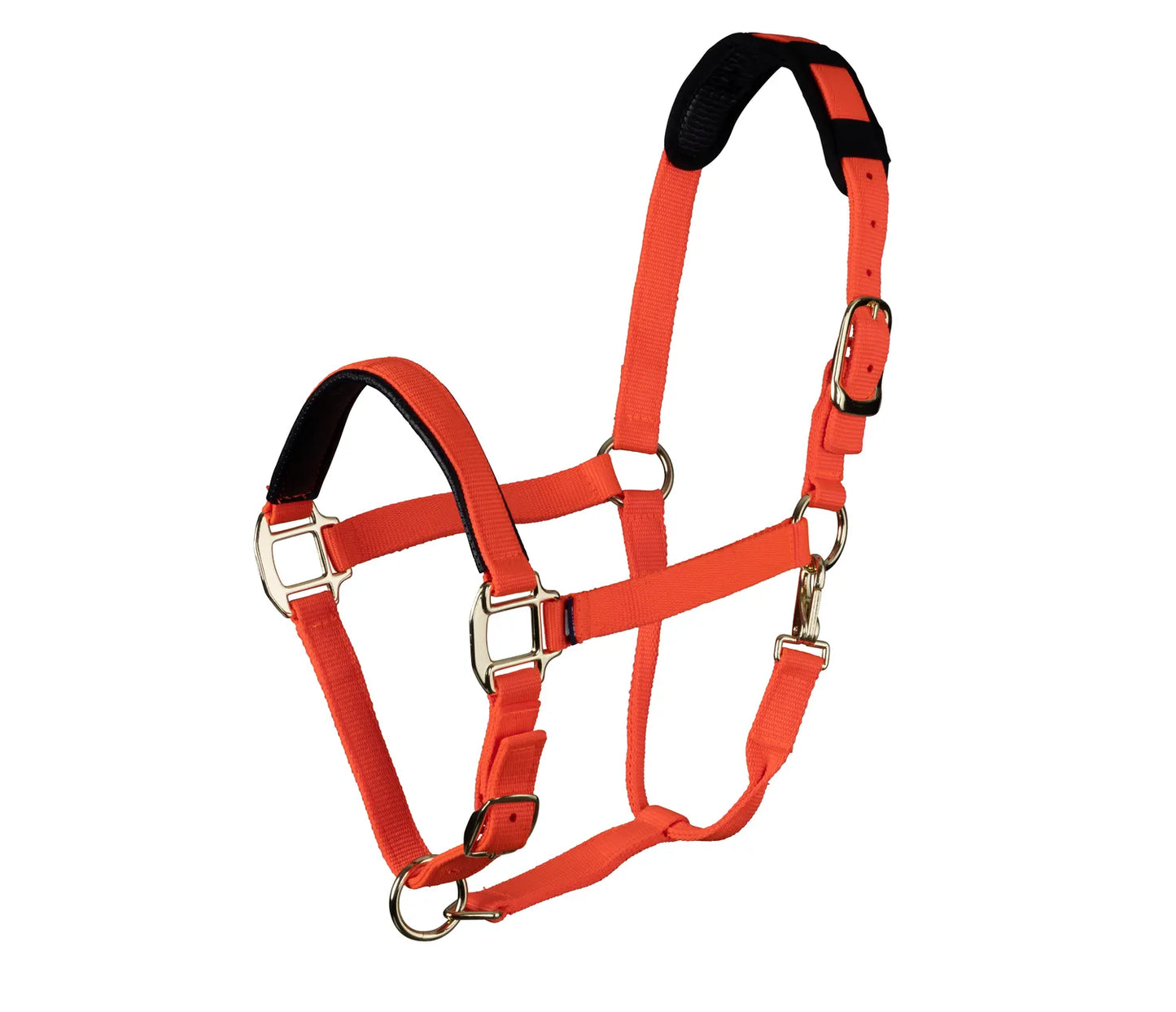 Topaz Leather Breakaway Padded Nylon Halter